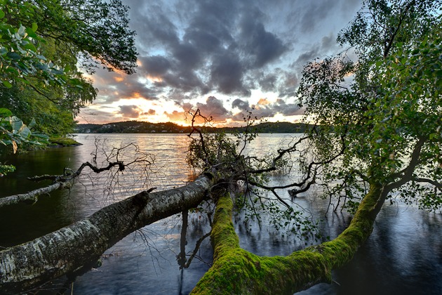 Rådasjön, Härryda kommun - Fotograf Mikael Svensson